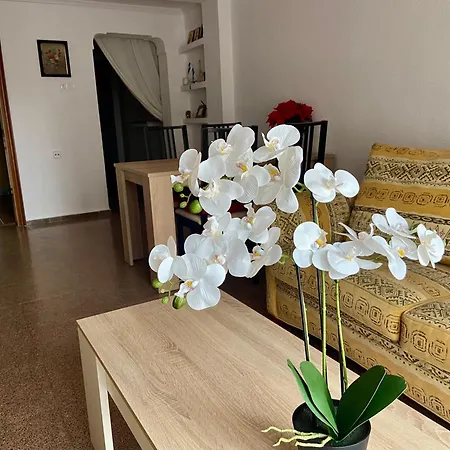 In The Heart Of Apartment *